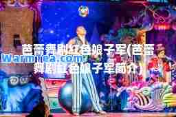 芭蕾舞剧红色娘子军(芭蕾舞剧红色娘子军简介)