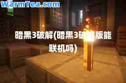 暗黑3破解(暗黑3破解版能联机吗)