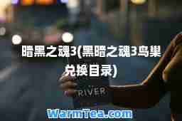 暗黑之魂3(黑暗之魂3鸟巢兑换目录)