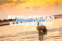 爱因为在心中歌词(爱因为在心中歌词完整版图片)