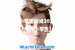 12岁小学生扮成20岁(12岁帅气小学生)