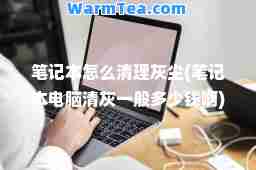 笔记本怎么清理灰尘(笔记本电脑清灰一般多少钱啊)