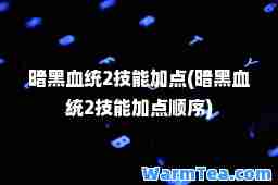 暗黑血统2技能加点(暗黑血统2技能加点顺序)