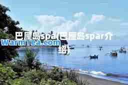 巴厘岛spa(巴厘岛spar介绍)