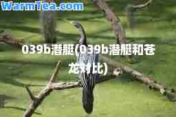 039b潜艇(039b潜艇和苍龙对比)