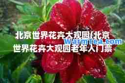 北京世界花卉大观园(北京世界花卉大观园老年人门票优惠)