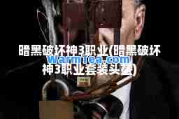 暗黑破坏3职业(暗黑破坏3职业套装头盔)