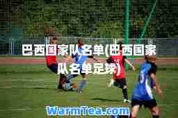 巴西国家队名单(巴西国家队名单足球)