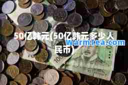 50亿韩元(50亿韩元多少人民币)