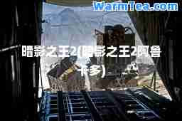 暗影之王2(暗影之王2阿鲁卡多)