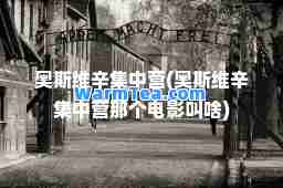 奥斯维辛集中营(奥斯维辛集中营那个电影叫啥)