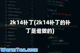 2k14补丁(2k14补丁的补丁是谁做的)
