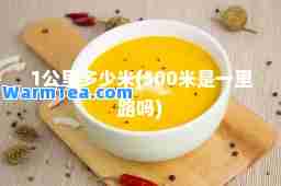 1公里多少米(500米是一里路吗)