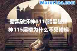 暗黑破坏111(暗黑破坏115层楼为什么不见楼梯)