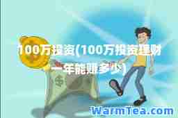 100万投资(100万投资理财一年能赚多少)
