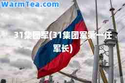 31集团军(31集团军任军长)