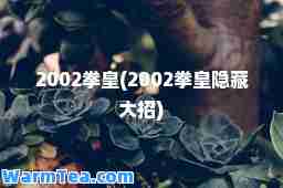 2002拳皇(2002拳皇隐藏大招)