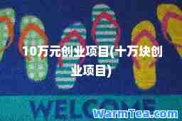 10万元创业项目(十万块创业项目)