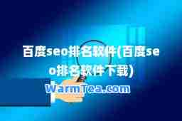 百度seo排名软件(百度seo排名软件下载)