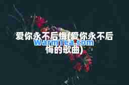 爱你永不后悔(爱你永不后悔的歌曲)