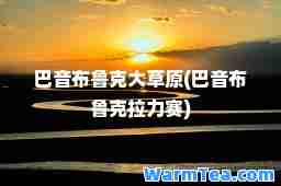 巴音布鲁克大草原(巴音布鲁克拉力赛)
