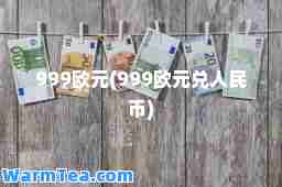 999欧元(999欧元兑人民币)