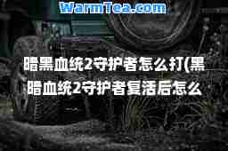 暗黑血统2守护者怎么打(黑暗血统2守护者复活后怎么过)