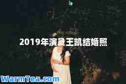 2019年演员王凯结婚照