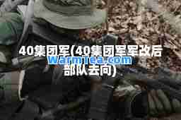 40集团军(40集团军军改后部队去向)