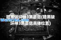 暗黑破坏3黑蘑菇(暗黑破坏3黑蘑菇具置)