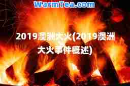 2019澳洲大火(2019澳洲大火事件概述)