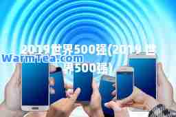 2019世界500强(2019 世界500强)