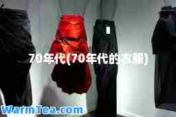 70年代(70年代的衣服)