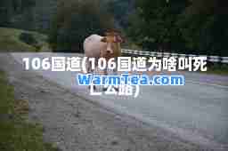 106国道(106国道为啥叫死亡公路)