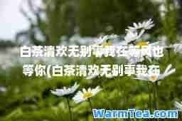 白茶清欢无别事我在等风也等你(白茶清欢无别事我在等风也等你出自哪里)