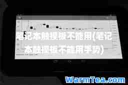 笔记本触摸板不能用(笔记本触摸板不能用手势)