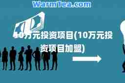 10万元投资项目(10万元投资项目加盟)