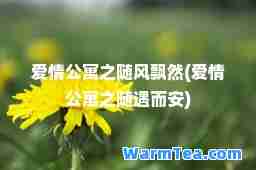 爱情公寓之随风飘然(爱情公寓之随遇而安)