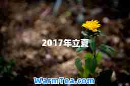 2017年立夏