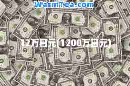 12万日元(1200万日元)