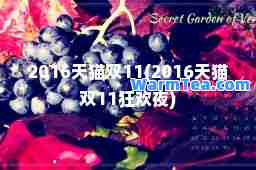 2016天猫双11(2016天猫双11狂欢夜)