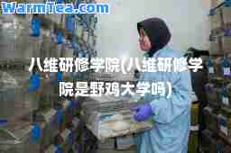 八维研修学院(八维研修学院是野鸡大学吗)