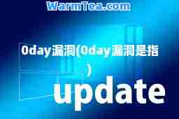 0day漏洞(0day漏洞是指)
