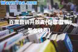 百度营销开放麦(百度 营销怎么收费)