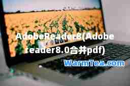 AdobeReader8(Adobereader8.0并pdf)