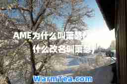 AME为什么叫萧瑟(ame为什么改名叫萧瑟)