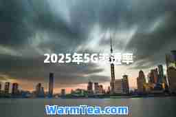 2025年5G渗透率