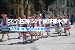 56个名族(56个民族有水族吗)