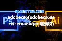 adobecs6(adobecs6servicemanager 启动项)
