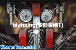 bianxing(变形金刚1)